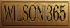 logo WILSONI365